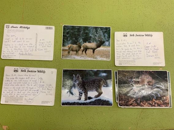 sample postcards
