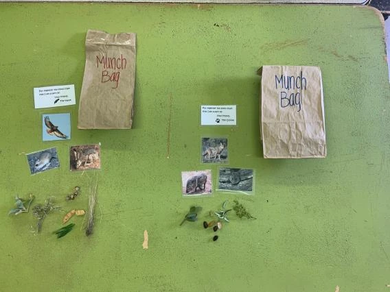 Munch bags with items