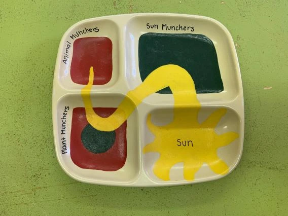 Munch Tray