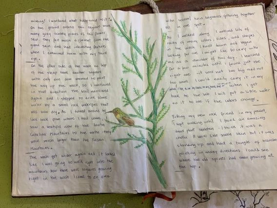 Opened diary