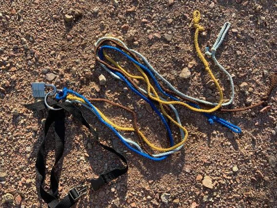 Participant belt with colored cords and locks
