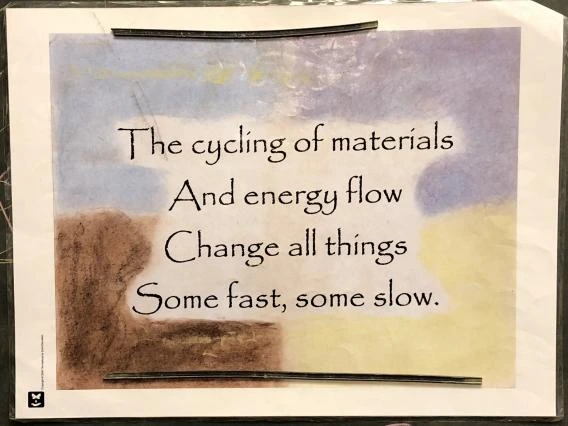 Time Capsule chorus poster, from Island Lake Outdoor Ed Center.